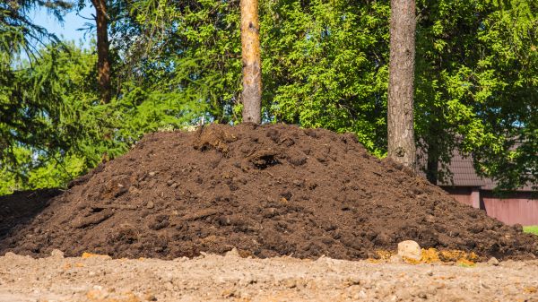 Cost of Dirt Installation in Windsor