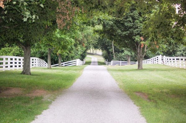 Cost of Gravel Road Installation in Windsor