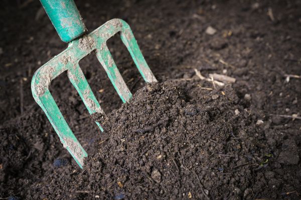 Cost of Topsoil Spreading in Windsor