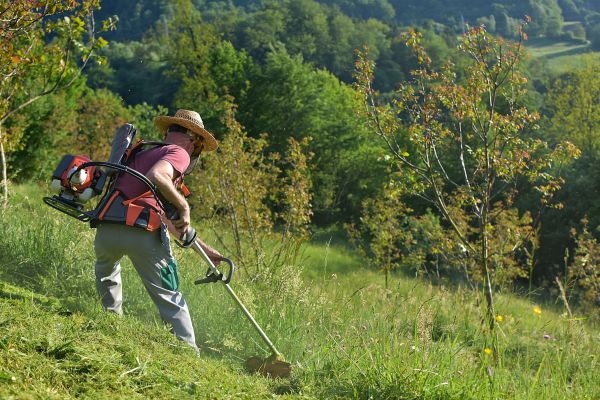 Cost of Slope Trimming in Windsor