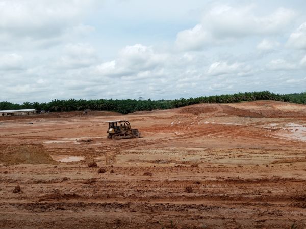 Cost of Land Preparation Service in Windsor
